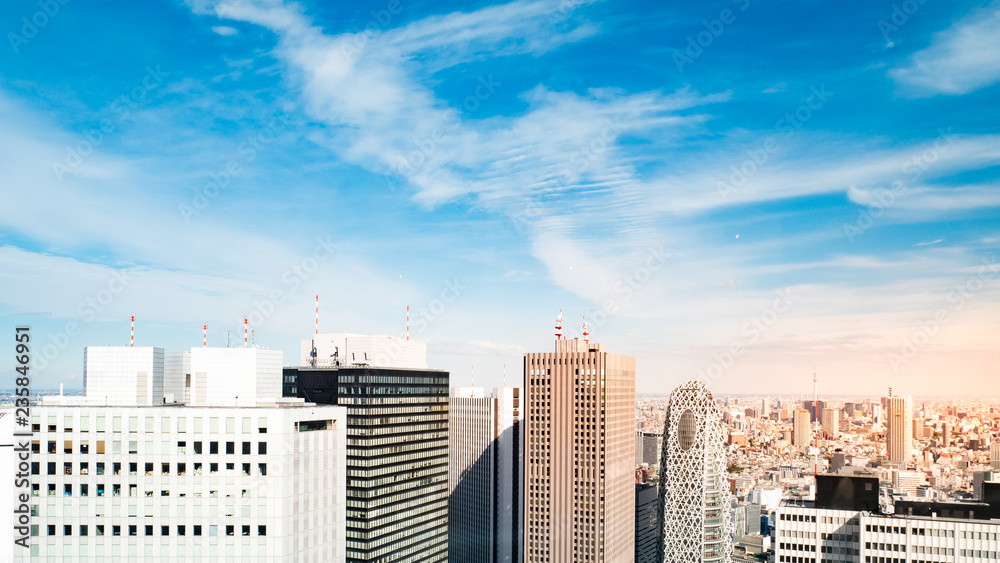 Fototapeta premium Tokyo cityscape as seen from the Tokyo Metropolitan Government Building in Shinjuku