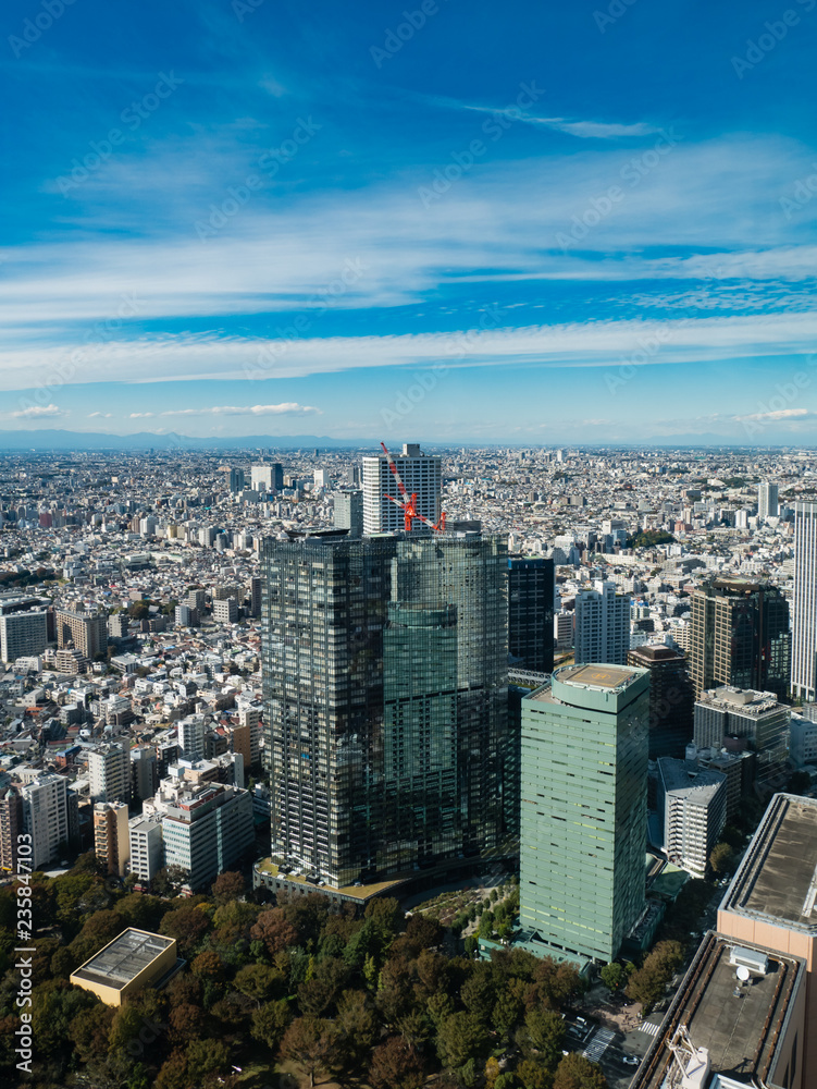 Tokyo cityscape as seen from the Tokyo Metropolitan Government Building in Shinjuku
