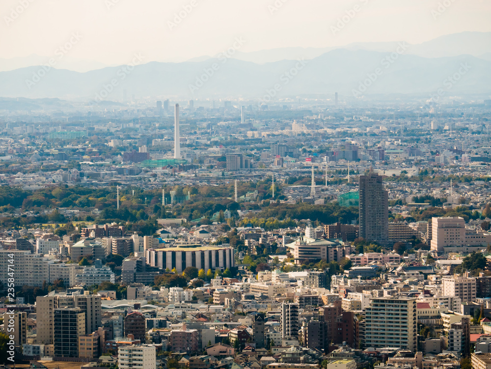 Tokyo cityscape as seen from the Tokyo Metropolitan Government Building in Shinjuku