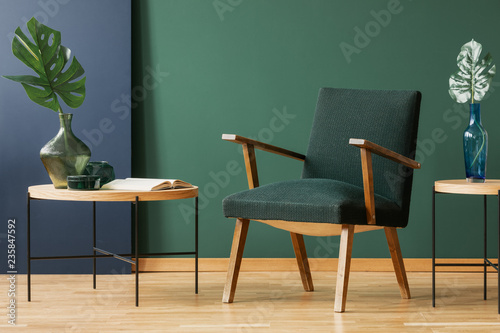 Wooden armchair between tables with leaves in green and blue living room interior. Real photo