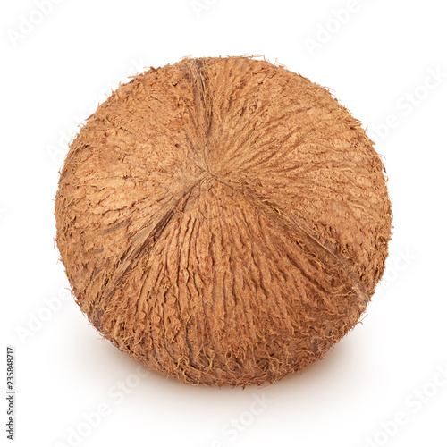 Studio shot of whole coconut isolated on a white background.