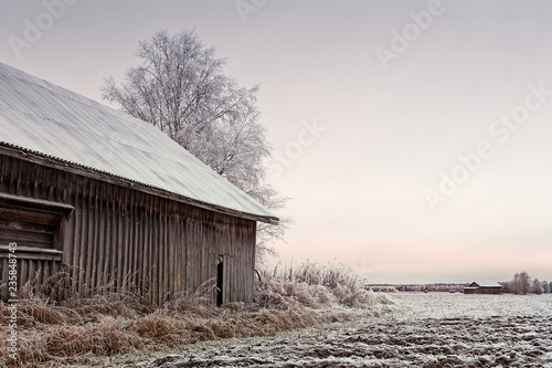 Frosty Morning On The Fields