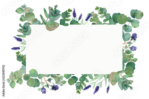 Watercolor hand painted lush pattern with silver leaves and branches of eucalyptus dollar, green fresh bouquet of medicinal eucalyptus with healing plants, red clover and Ivan tea.