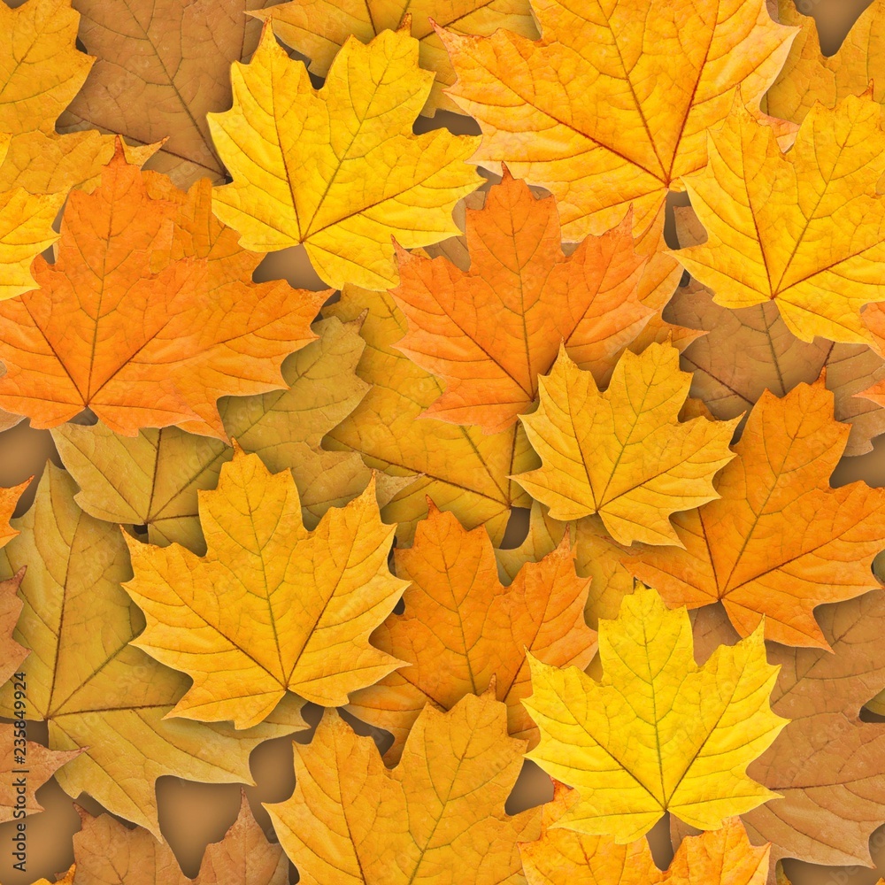 Background of autumn orange and maple leaves.Seamless background.