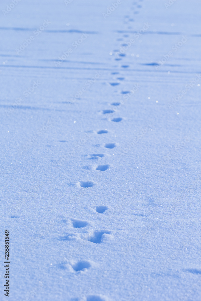footprints in the snow concept of path and goal achievement footprints in the snow concept of path and goal achievement