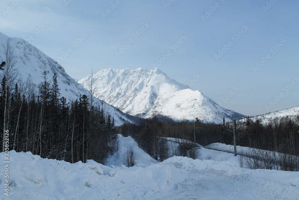 Fototapeta premium winter in the mountains