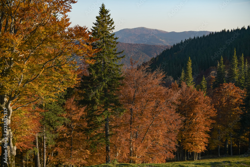 Aerial view of an autumn mountain landscape at Cheia, Brasov - Romania Aerial view of an autumn mountain landscape at Cheia, Brasov - Romania