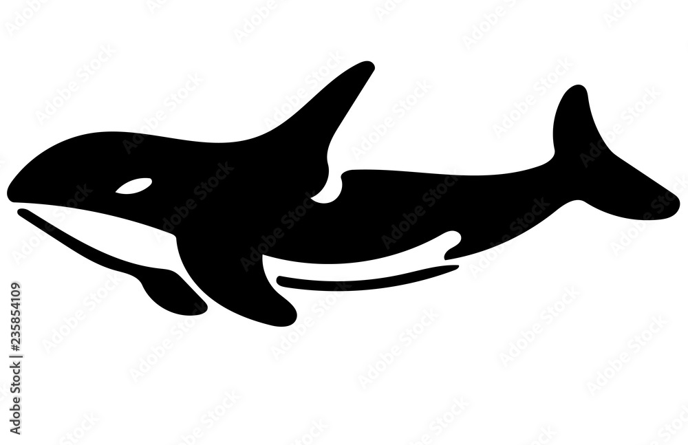 Obraz premium killer whale