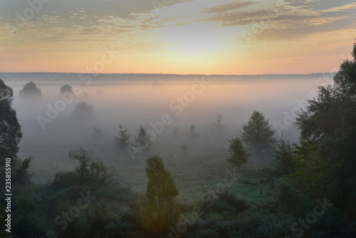 Landscape with morning mist