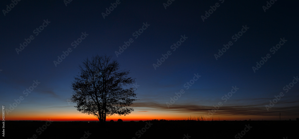 Panoramic landscape with a tree on the background of a cloudless sky during sunset. Panoramic landscape with a tree on the background of a cloudless sky during sunset.