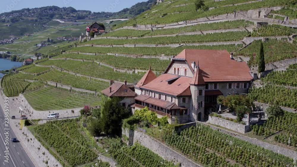 Aerial passing by traditional vineyard house (
