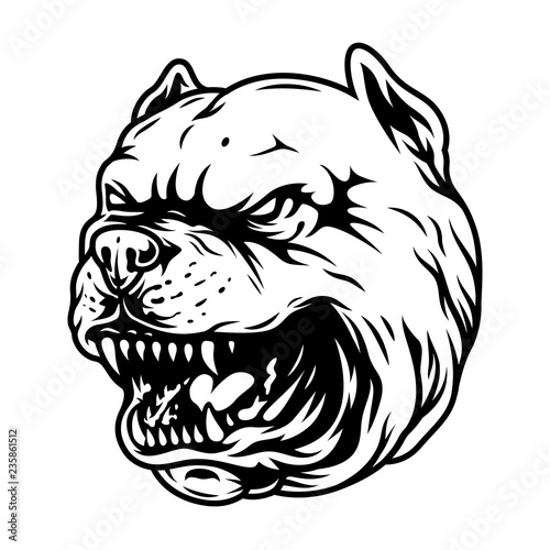Vintage angry pitbull head concept