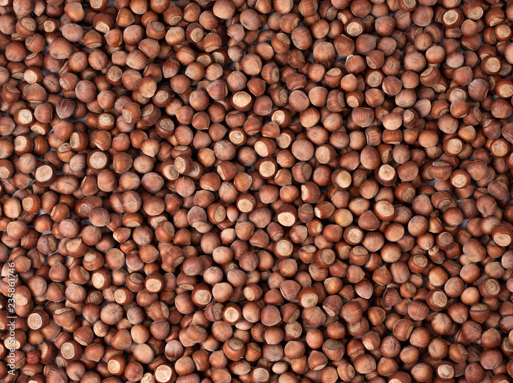 Raw hazelnuts as a background. High quality photo Raw hazelnuts as a background. High quality photo