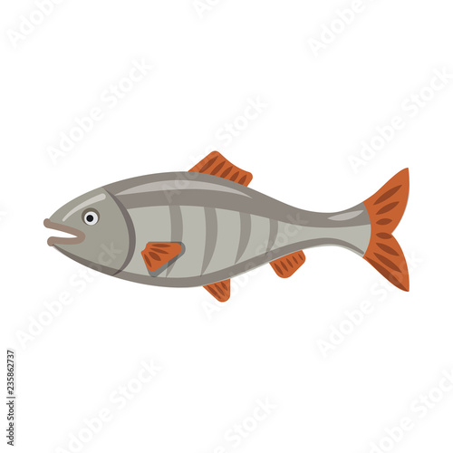 Isolated object of fish and fishing logo. Collection of fish and equipment vector icon for stock.