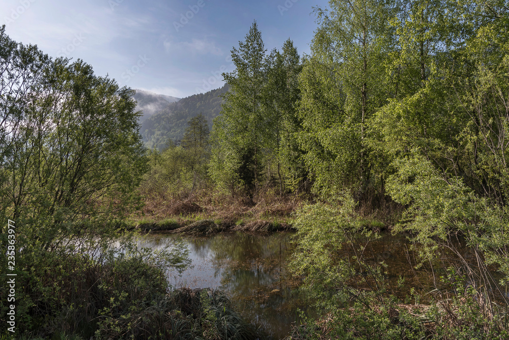 Pöckauer Moor