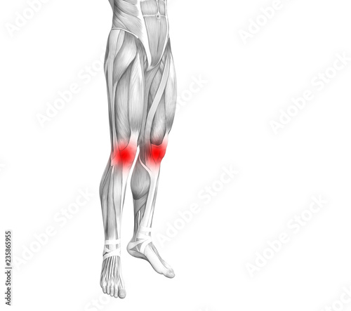 Conceptual knee human anatomy with red hot spot inflammation or articular joint pain for leg health care therapy or sport muscle concepts. 3D illustration man arthritis or bone osteoporosis disease
