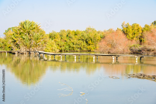 Elevated Footpath, En Afek photo