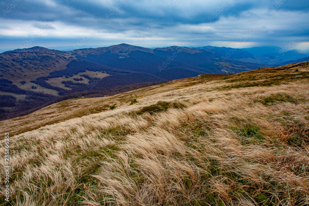 Obraz premium Landscape of autumnal peaks of the Carpathians.