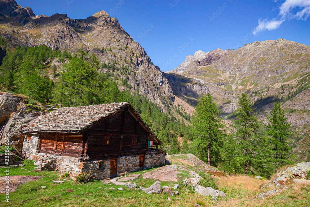 Panoramic view of a typical high mountain pasture, in the Alpine valleys around Monte Rosa, in Italy.