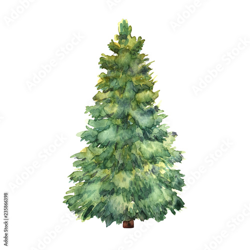 Watercolor green Christmas tree on white background. Isolated ha