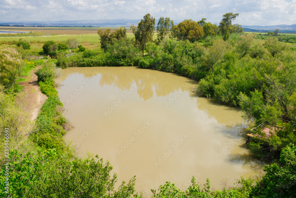 Wetland, En Afek