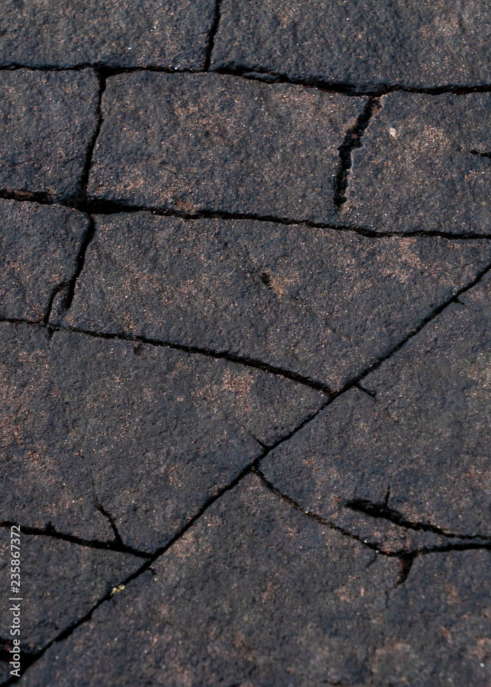 Obraz premium Segmented