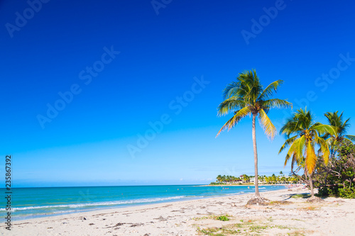 Fototapeta Naklejka Na Ścianę i Meble -  Vacation holidays background wallpaper. Palm trees and tropical beach in Varadero, Cuba.