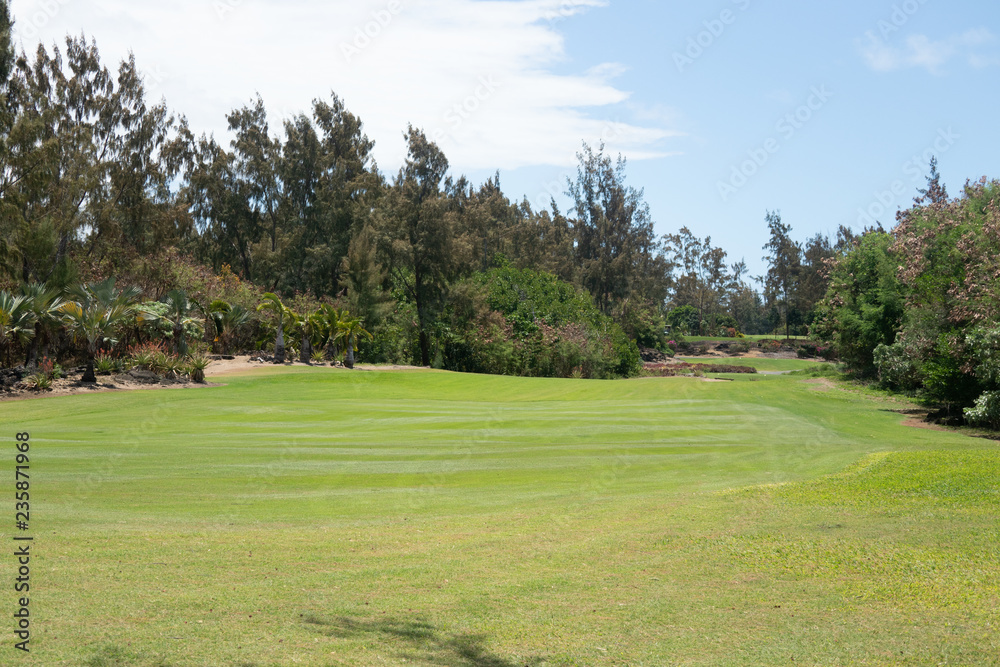 Green of a golf field in beautiful view