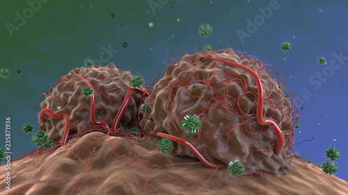 Foto Antikörper greifen stark durchblutete Tumore an