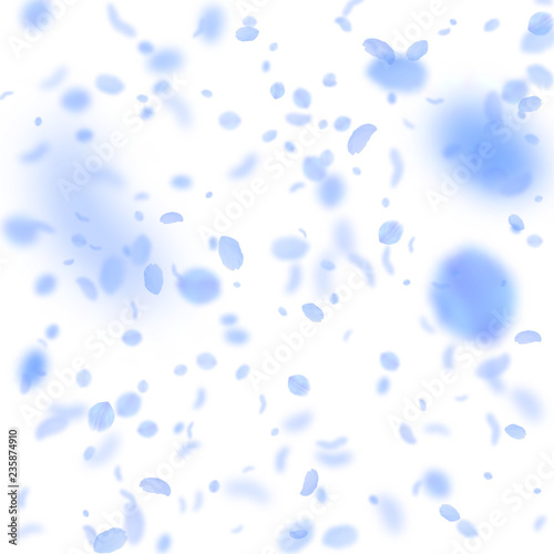 Dark blue flower petals falling down. Fetching rom