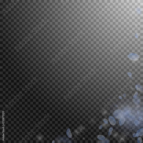 Light blue flower petals falling down. Vibrant rom