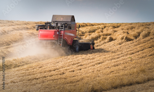 Harvesting of wheat field with combine