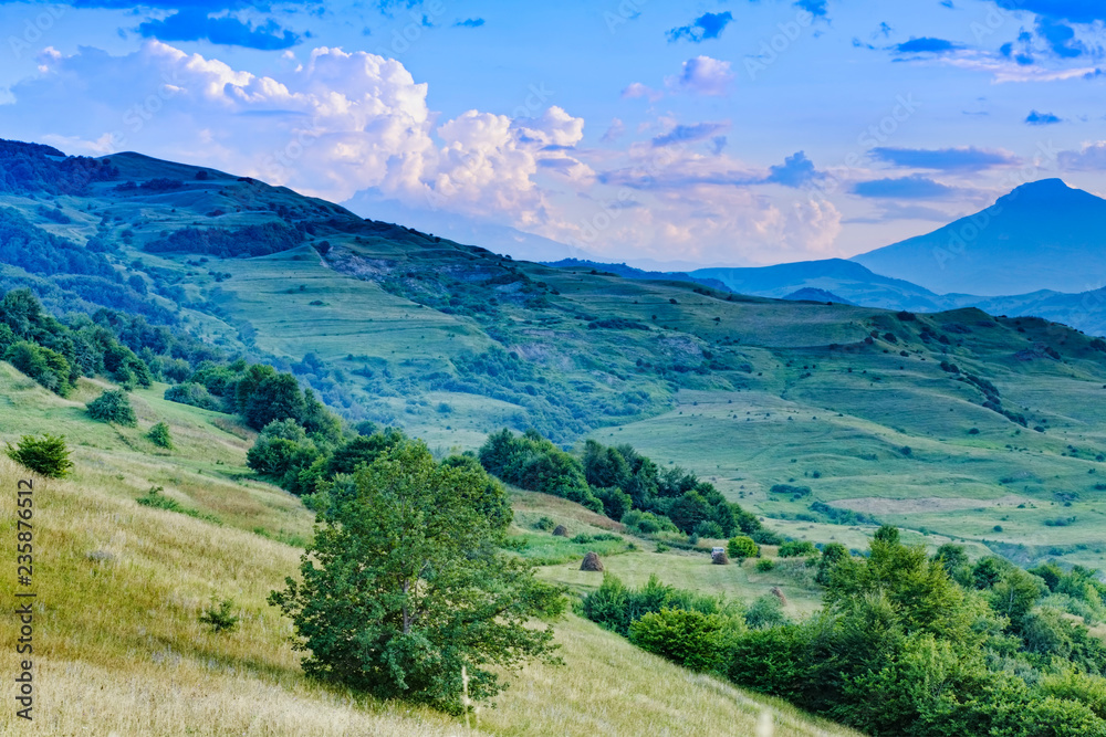 Naklejka premium Hay harvesting