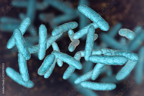 Tablou pe pânză Probiotic bacteria, normal intestinal microbiota, 3D illustration