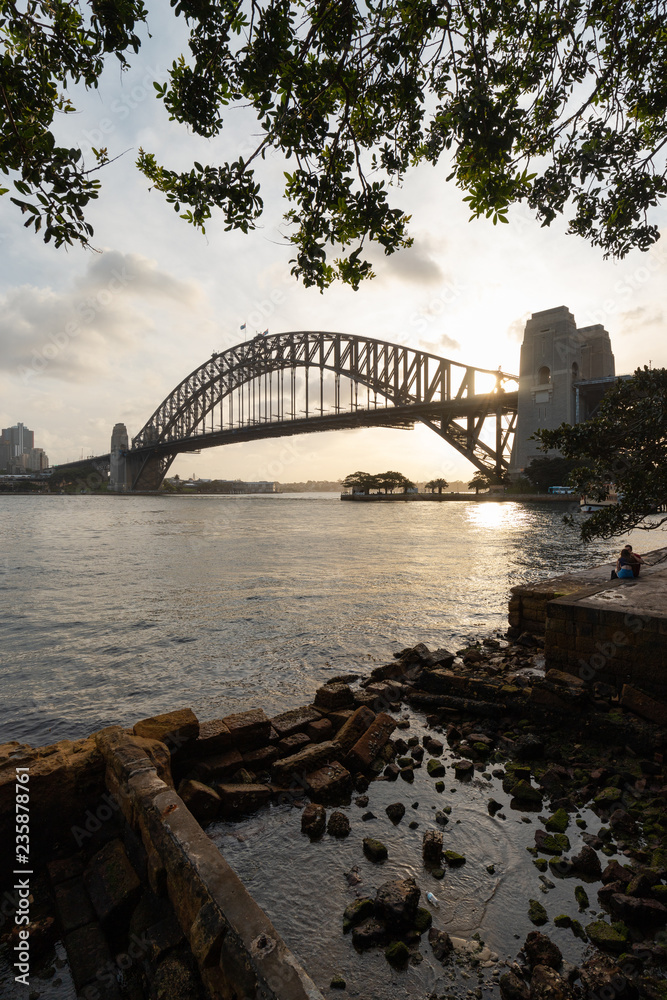 Naklejka premium Sydney Harbour bridge view with tree framing.