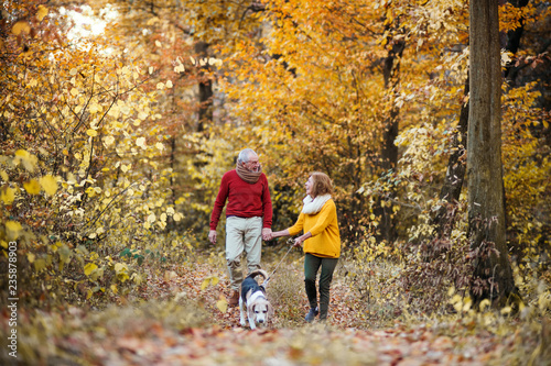 A senior couple with a dog on a walk in an autumn nature.