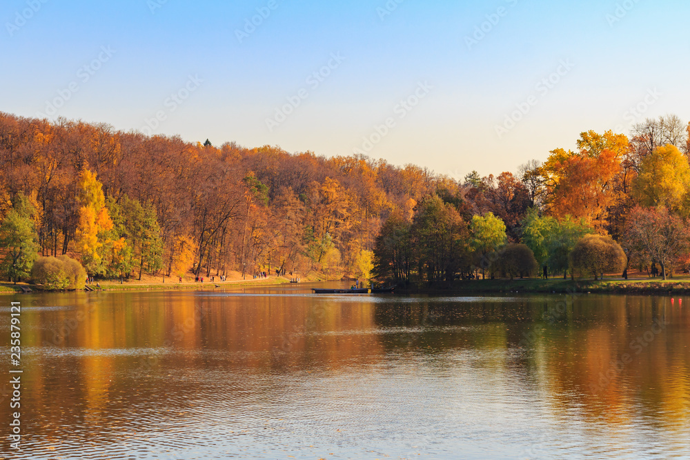 Pond and trees with golden leaves on shore at sunny autumn day Pond and trees with golden leaves on shore at sunny autumn day