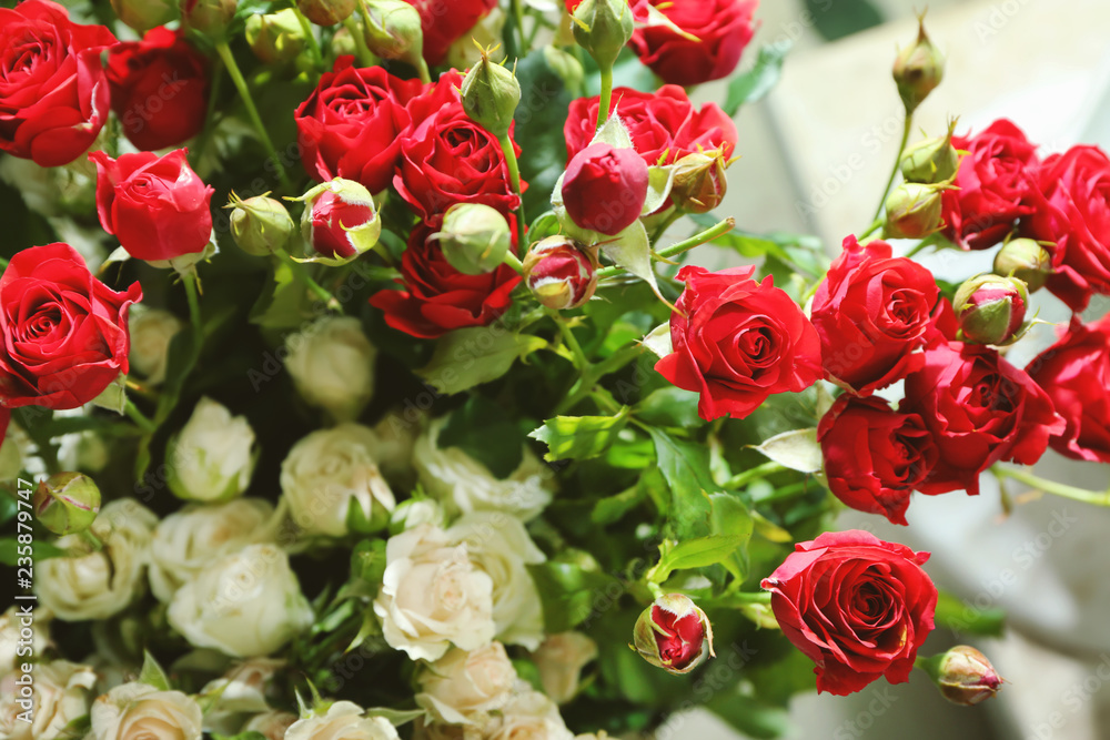 Obraz premium Plenty of beautiful roses