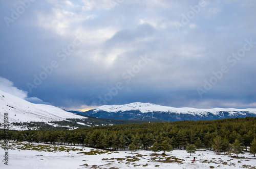 Snowy mountains and pine forest with cloudy sky at sunset