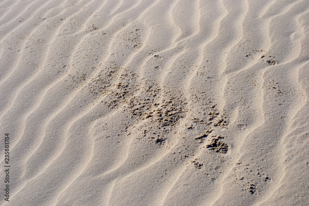 Dettail of sand waves on a desertice place