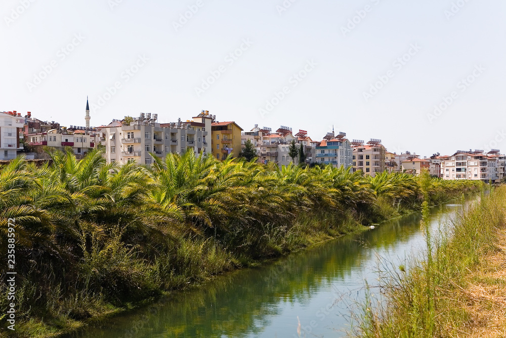 Exotic plants are reflected in the water.