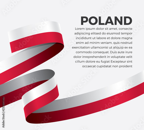 Poland flag, vector illustration on a white background