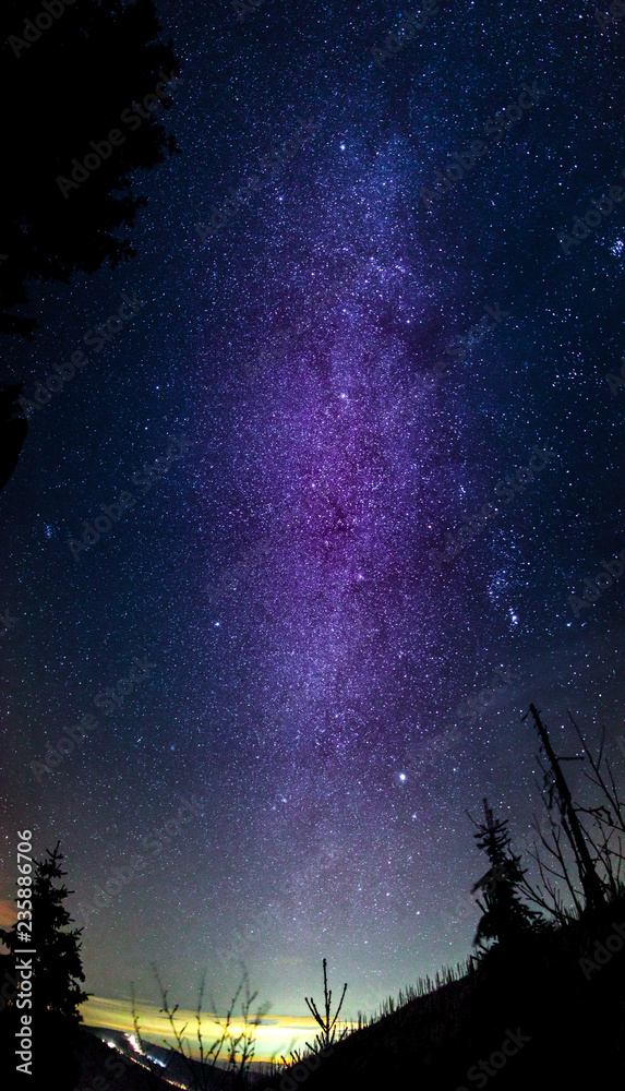 Milky Way over forest in mountain