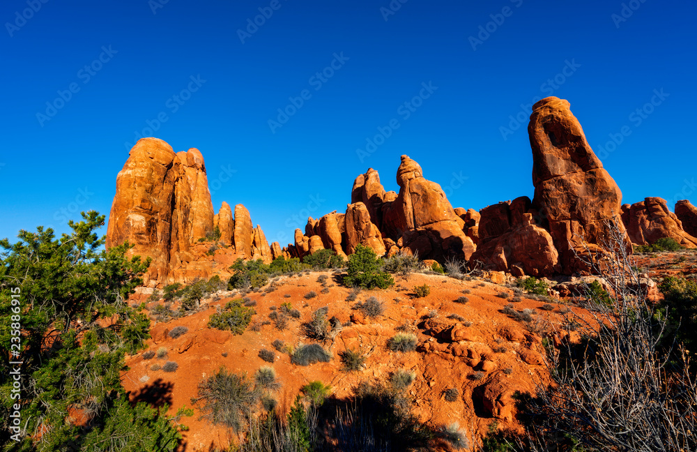 Naklejka premium Arches National Park