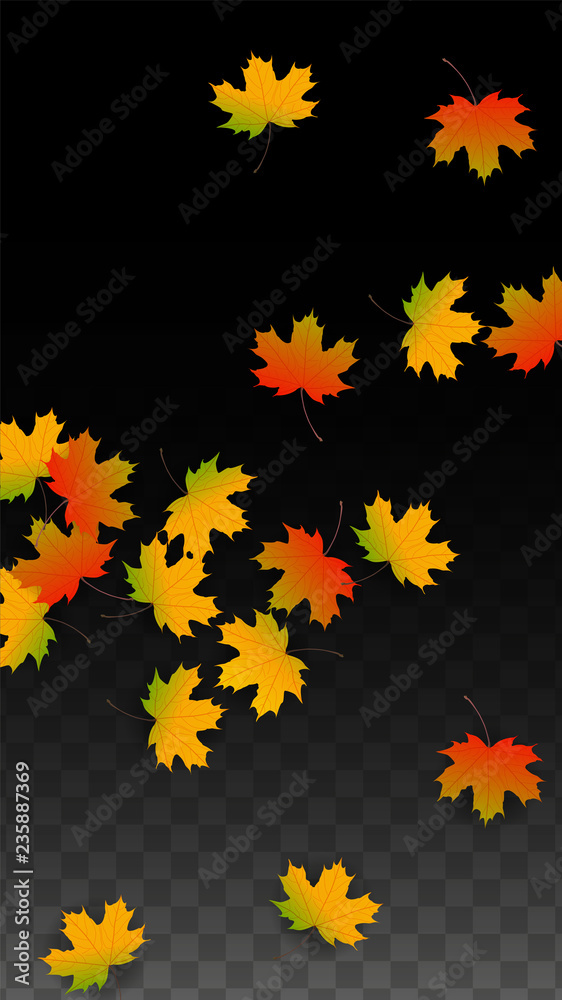 September Vector Background with Golden Falling Leaves. Autumn Illustration with Maple Red, Orange, Yellow Foliage. Isolated Leaf on Transparent Background. Bright Swirl. Suitable for Posters. September Vector Background with Golden Falling Leaves. Autumn Illustration with Maple Red, Orange, Yellow Foliage. Isolated Leaf on Transparent Background. Bright Swirl. Suitable for Posters.