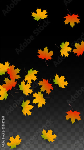 September Vector Background with Golden Falling Leaves. Autumn Illustration with Maple Red, Orange, Yellow Foliage. Isolated Leaf on Transparent Background. Bright Swirl. Suitable for Posters.