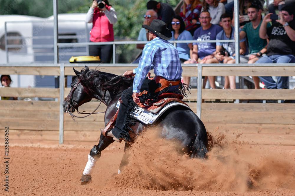 The rear view of a rider in jeans, cowboy chaps and checkered shirt on a reining horse slides to a stop in the red clay an arena.