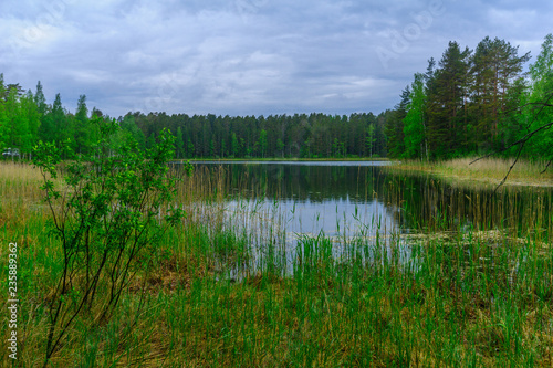 Landscape of lakes and forest along the Punkaharju ridge
