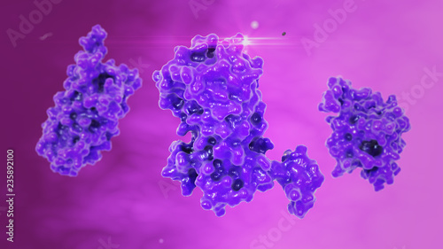Prolaktin Hormon, mikroskopische Darstellung