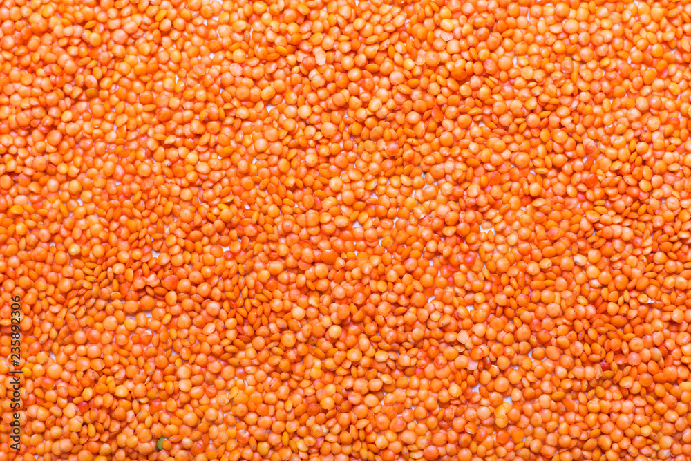 Lentils on the table. This legume contains a lot of vegetable protein